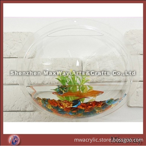Clear Slatwall Fish Tank